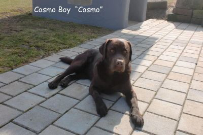 Cosmo 08.03.11 2-